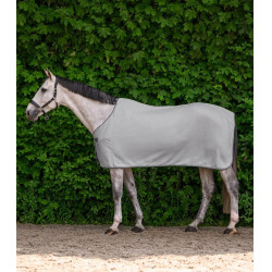 Waldhausen Economic fleece-deken Zilvergrijs