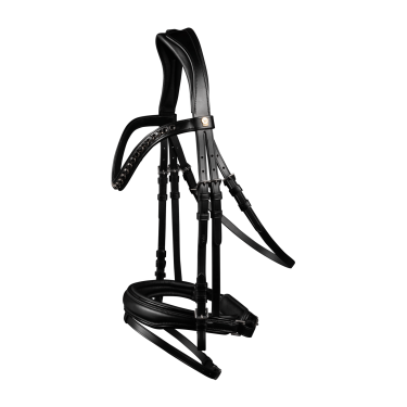 Waldhausen S-Line Blackshine gelakte hoofdstel met gecombineerde pull back neusriem Zwart Waldhausen S-Line Blackshine gelakte hoofdstel met gecombineerde pull back neusriem Zwart