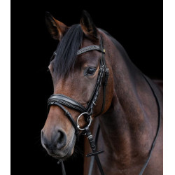 Waldhausen S-Line Blackshine gelakte hoofdstel met gecombineerde pull back neusriem Zwart Waldhausen S-Line Blackshine gelakte hoofdstel met gecombineerde pull back neusriem Zwart
