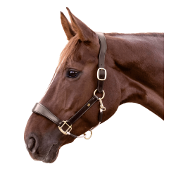 Lederen halster Waldhausen S-Line Royal Bruin