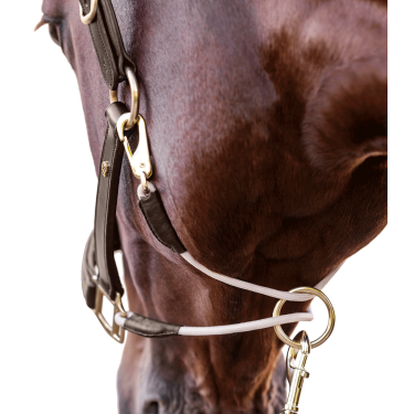 Licol en cuir Waldhausen S-Line Royal Marron