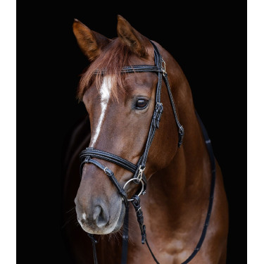 Bridon équitation X-Line avec muserolle combinée