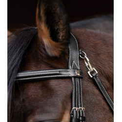 Bridon équitation X-Line avec muserolle combinée