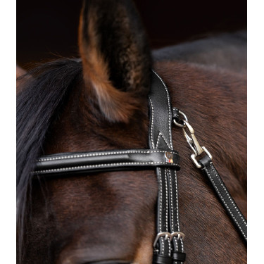 Bridon équitation X-Line avec muserolle combinée