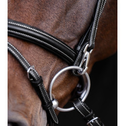 Bridon équitation X-Line avec muserolle combinée