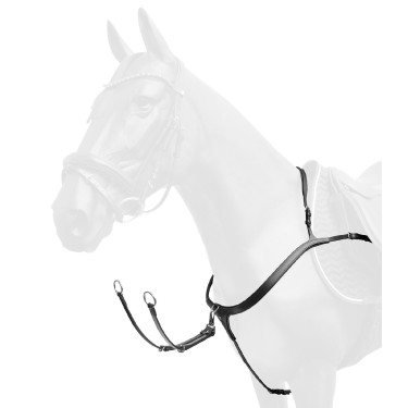Borsttuig paard X-Line met lange brug | Equi-Clic Borsttuig paard X-Line met lange brug | Equi-Clic