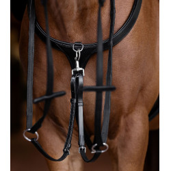 Borsttuig paard X-Line met lange brug | Equi-Clic Borsttuig paard X-Line met lange brug | Equi-Clic
