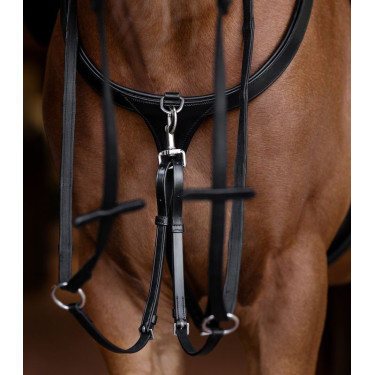 Borsttuig paard X-Line met lange brug | Equi-Clic Borsttuig paard X-Line met lange brug | Equi-Clic