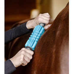 Massage rollen Waldhausen Health + Care Blauw