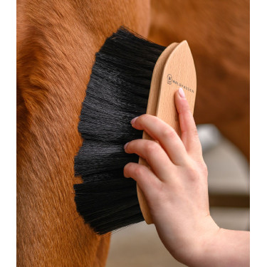 Brosse à poussière Waldhausen Exclusive Line Bois Beige