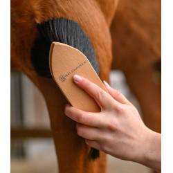 Brosse à poussière Waldhausen Exclusive Line Bois Beige