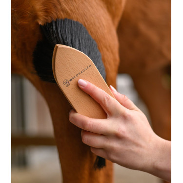 Brosse à poussière Waldhausen Exclusive Line Bois Beige