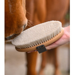 Paardenborstel geitenhaar Waldhausen Exclusive Line
