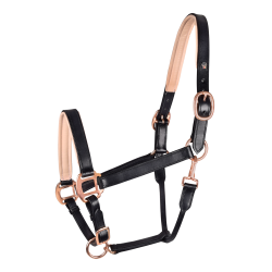 Licol cuir Rosé Waldhausen X-Line Noir