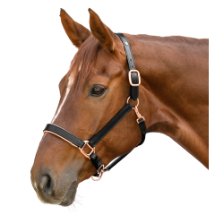 Roze leren halster Waldhausen X-Line Zwart Roze leren halster Waldhausen X-Line Zwart