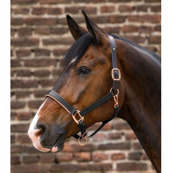 Roze leren halster Waldhausen X-Line Zwart Roze leren halster Waldhausen X-Line Zwart