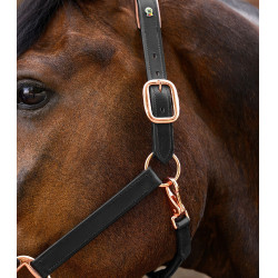 Roze leren halster Waldhausen X-Line Zwart Roze leren halster Waldhausen X-Line Zwart