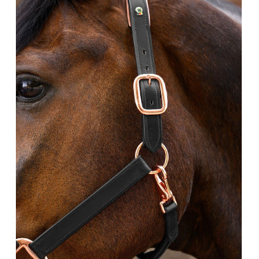 Roze leren halster Waldhausen X-Line Zwart Roze leren halster Waldhausen X-Line Zwart
