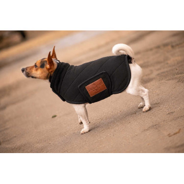 Couverture pour chien polaire Diagonal Paddock Couverture pour chien polaire Diagonal Paddock
