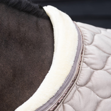 Showdeken Imperial Riding Bandit