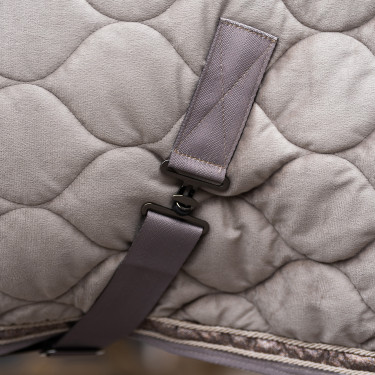 Couverture d'écurie Imperial Riding Bandit
