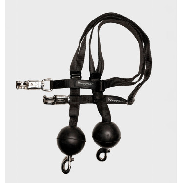 Lot de 2 longes d’attache BarnSafe Horseware Noir