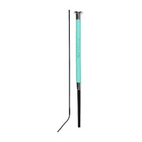 Cravache de dressage en cuir à surpiqûres décoratives Dublin Turquoise Bleu