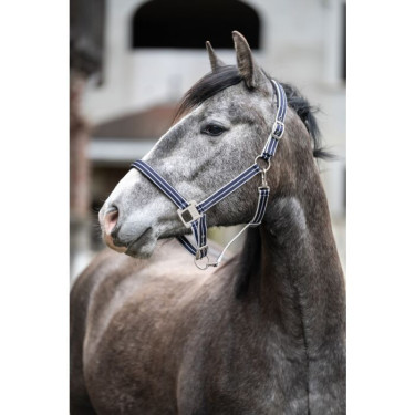Licol d’équitation HKM Quebec – confortable et réglable Licol d’équitation HKM Quebec – confortable et réglable