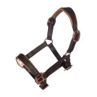 Licol en cuir Or rose Hobby Horsing HKM Marron Licol en cuir Or rose Hobby Horsing HKM Marron