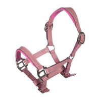 Licol en cuir Pink Hobby Horsing HKM Rose Licol en cuir Pink Hobby Horsing HKM Rose