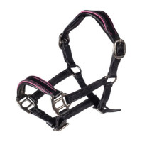 Licol en cuir Manchester Hobby Horsing HKM Noir / fuchsia Licol en cuir Manchester Hobby Horsing HKM Noir / fuchsia