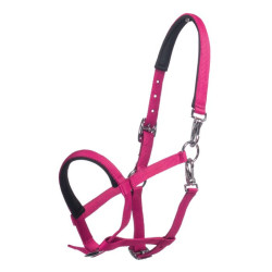 Licol poulain HKM Millie Rose