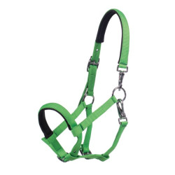 Licol poulain HKM Millie – équipement équitation