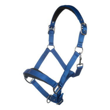 Licol d'équitation HKM Amalfi confort et style
