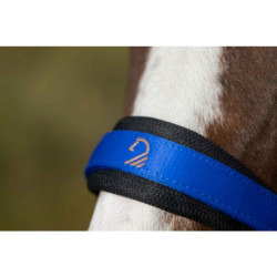 Licol d'équitation HKM Amalfi confort et style