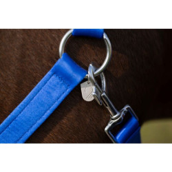 Licol d'équitation HKM Amalfi confort et style