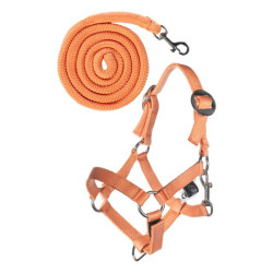 Halster en halstertouw HKM Hobby Horsing Basic Oranje