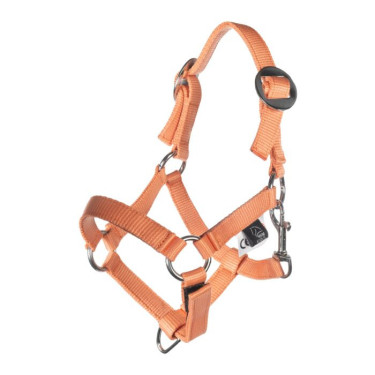 Licol et longe HKM Hobby Horsing Basic Orange