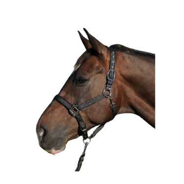 Set halster en longe Gorla Flags & Cup