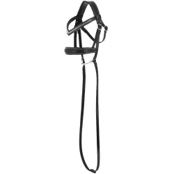 Hobby Horse Pony Academy Bridon anatomique Hobby Horse Pony Academy Bridon anatomique