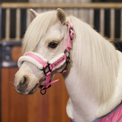 Halster paard HV Polo Sacha met teddyvoering