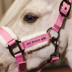 Halster paard HV Polo Sacha met teddyvoering