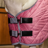 Staldeken HV Polo Sacha Denk roze