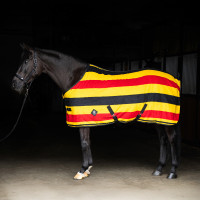 Couverture polaire Imperial Riding Stripe Or