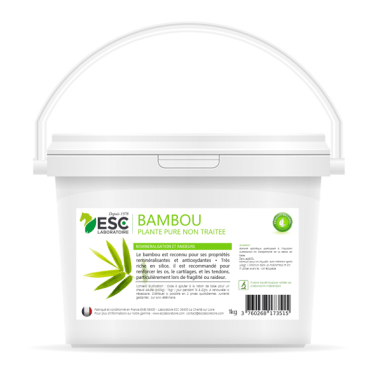 Bamboe ESC Laboratorium Bamboe ESC Laboratorium