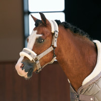 Licol Imperial Riding Bandit Taupe Marron