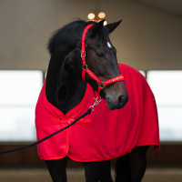 Halter Imperial Riding Devil Rood
