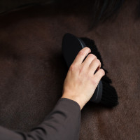 Brosse Dandy long hair Euro-Star Belleza Noir Brosse Dandy long hair Euro-Star Belleza Noir