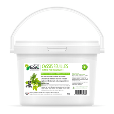 Cassis ESC Laboratorium Cassis ESC Laboratorium