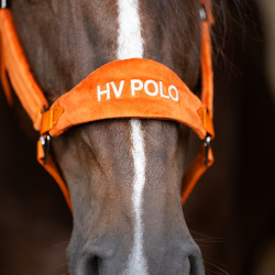 Licol HV Polo Luxury Pumpkin Orange